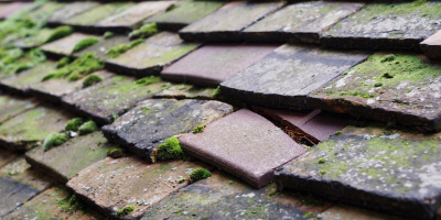 Blowick roof repair costs